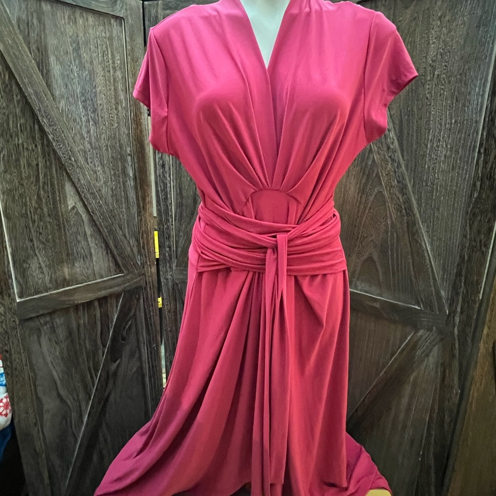 Iman Pink Dress Size 2X
